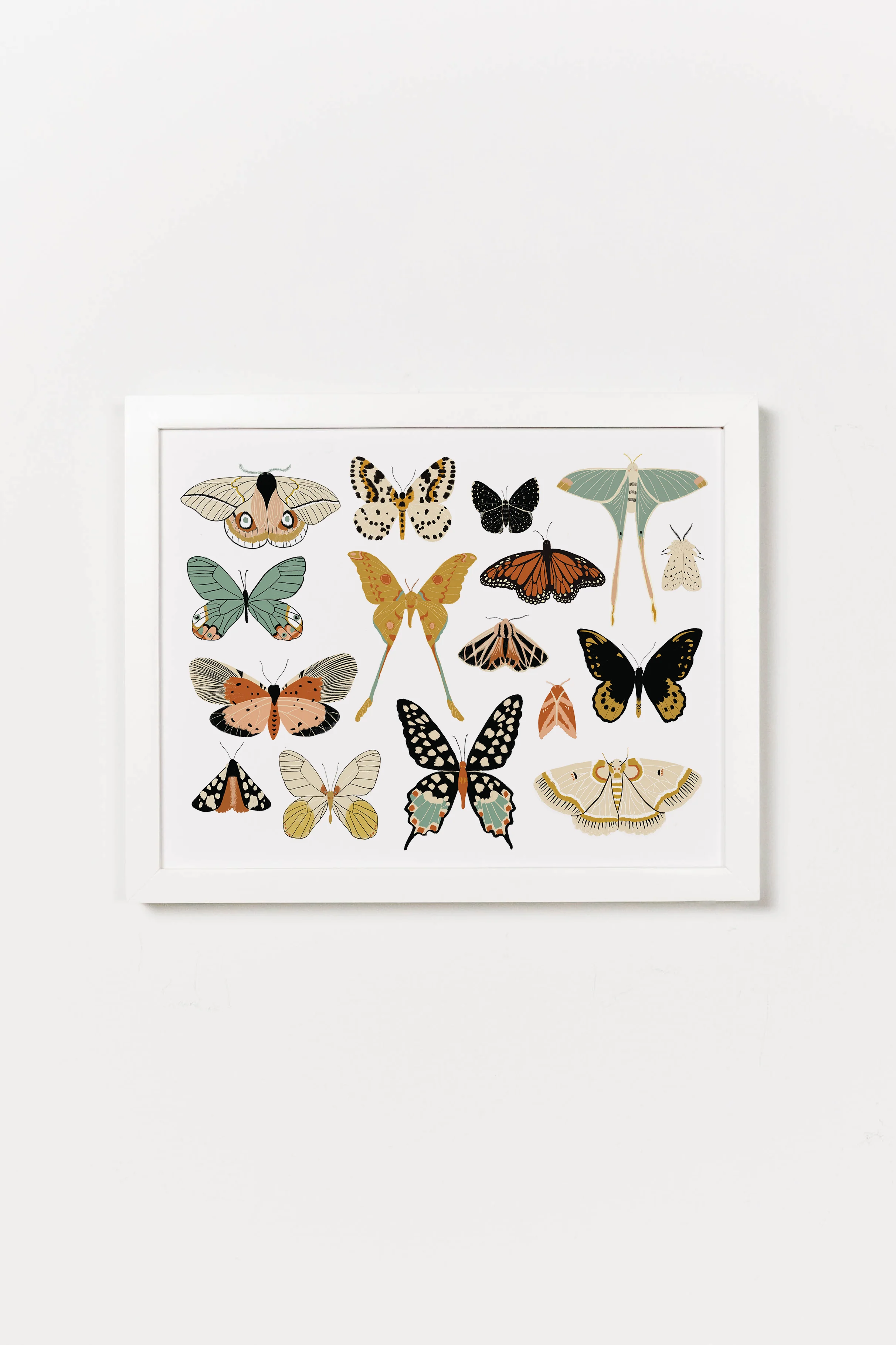 Butterfly Collector Art - Image 10