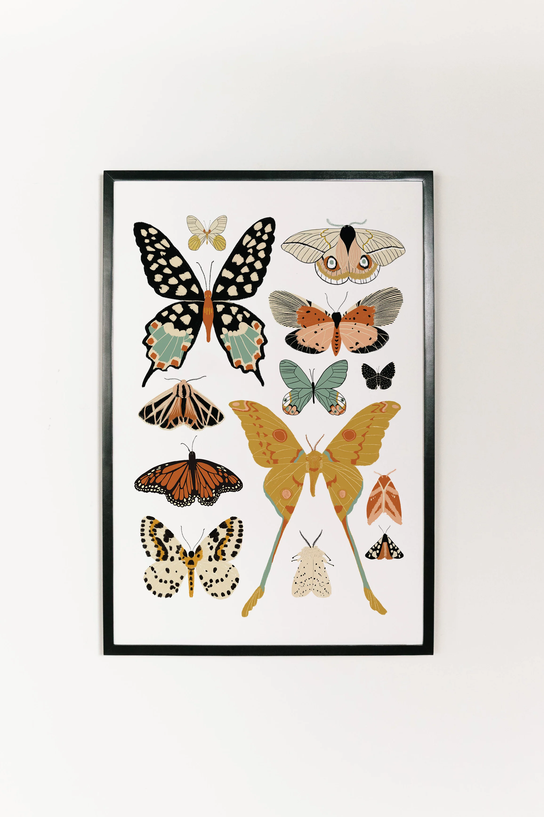 Butterfly Collector Art - Image 11