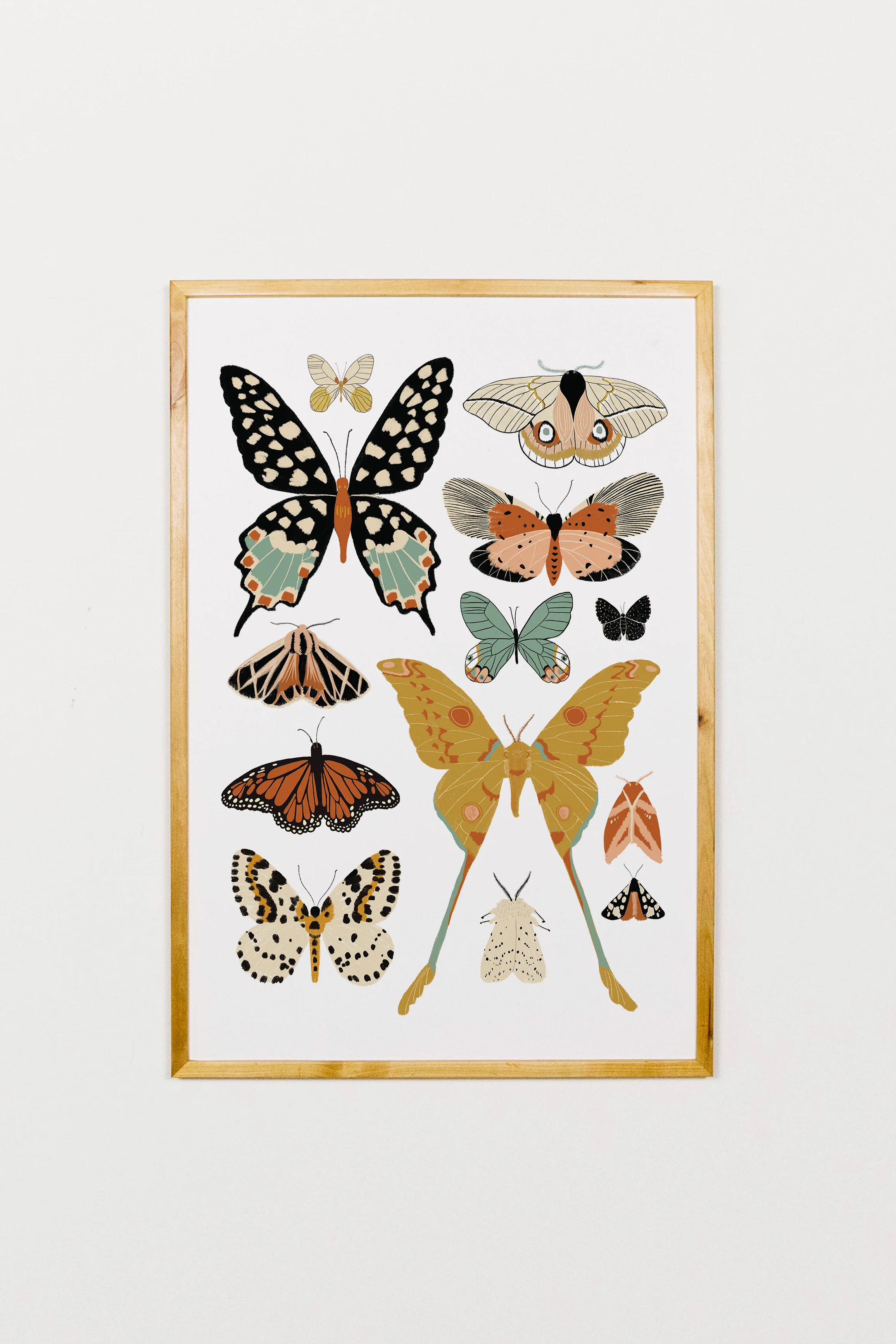 Butterfly Collector Art - Image 12
