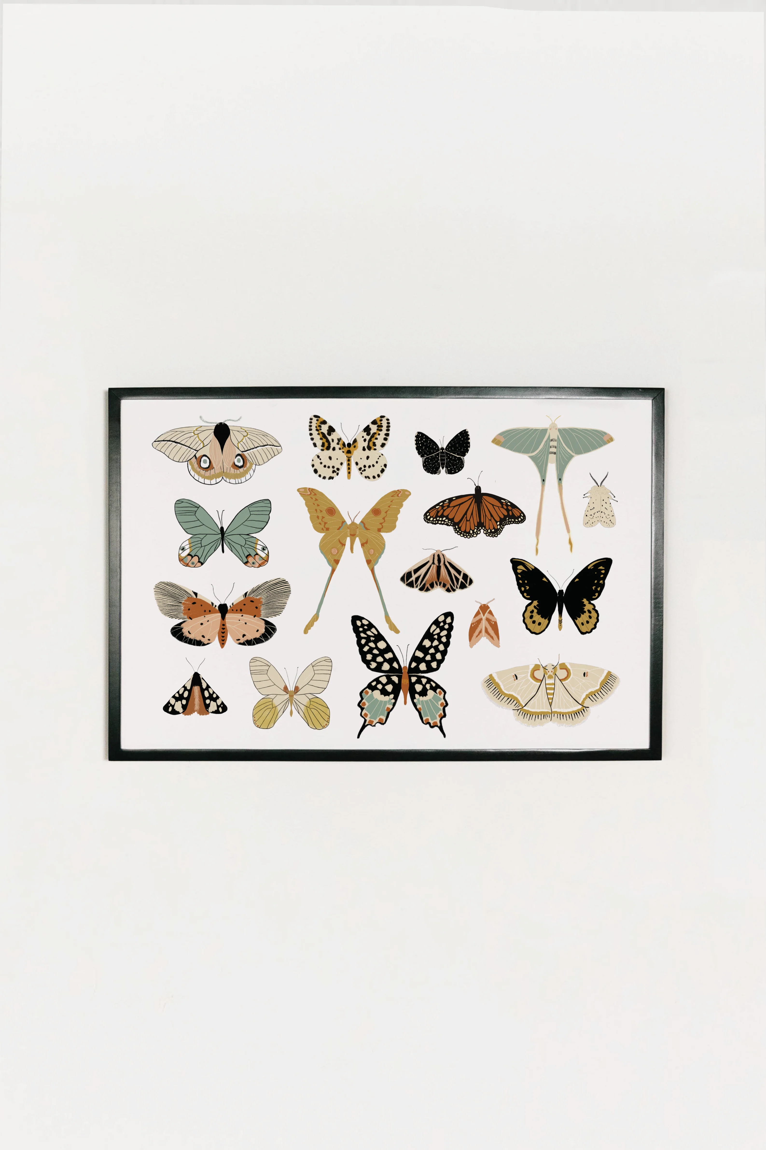 Butterfly Collector Art - Image 13