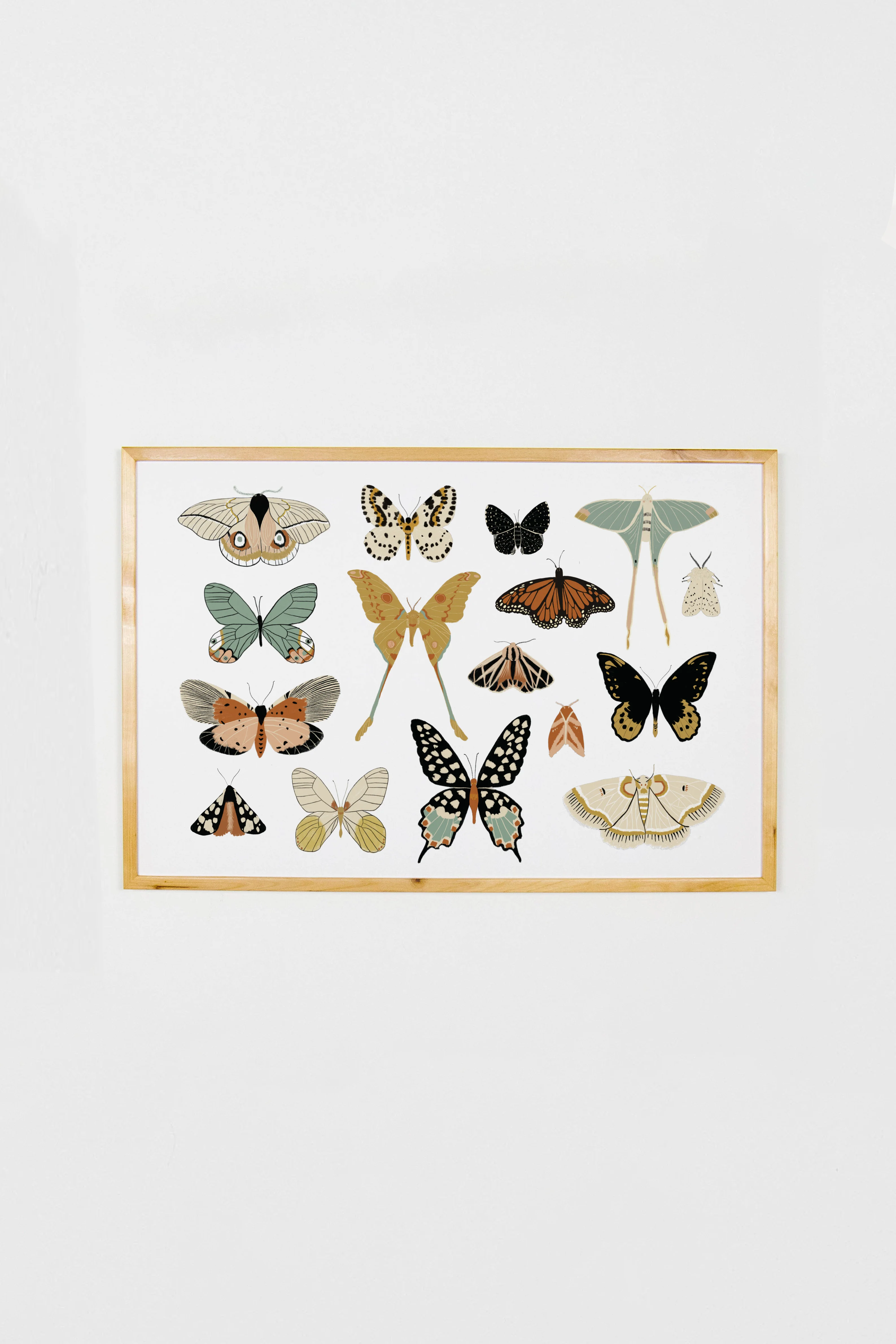 Butterfly Collector Art - Image 14