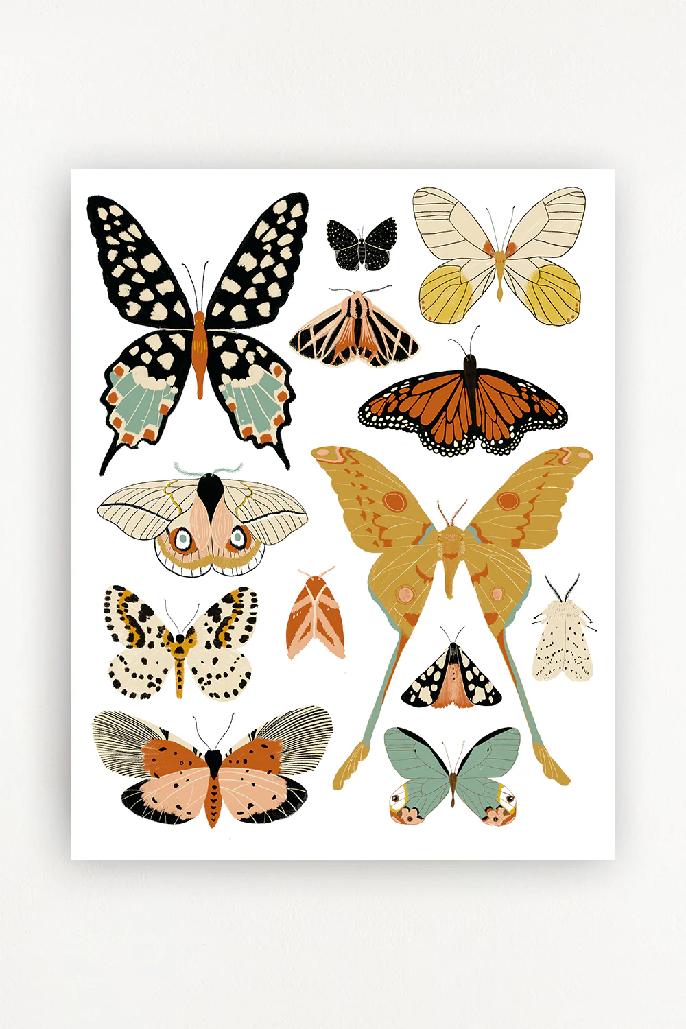 Butterfly Collector Art - Image 3