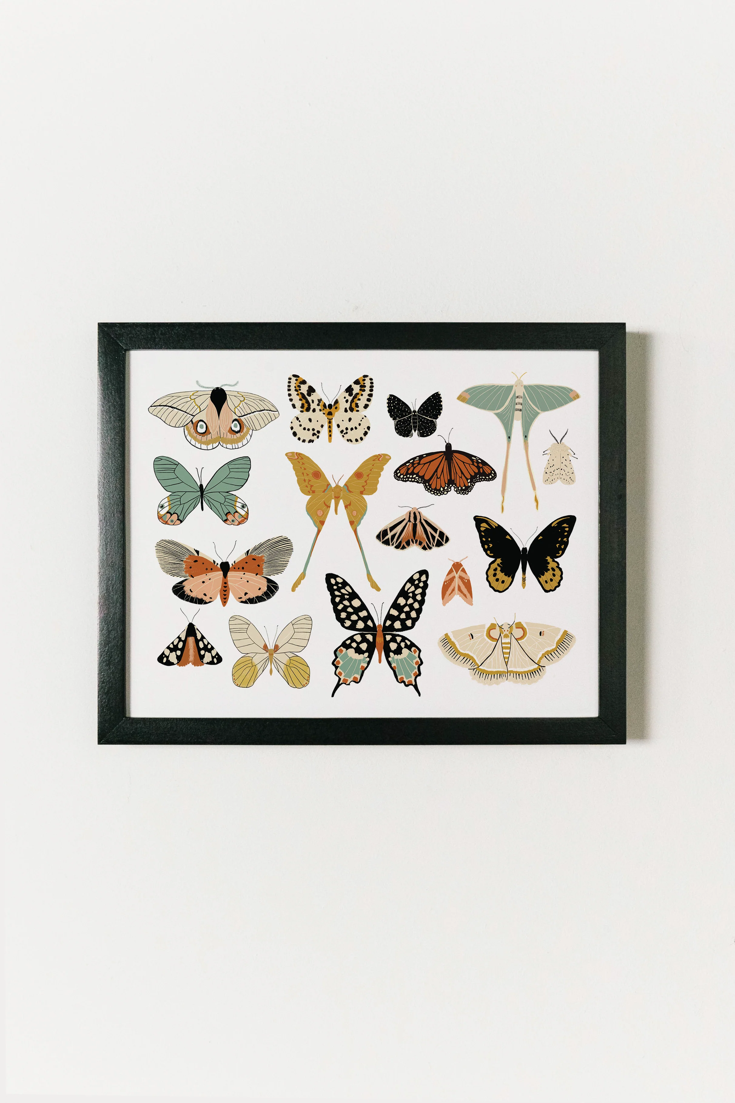Butterfly Collector Art - Image 4