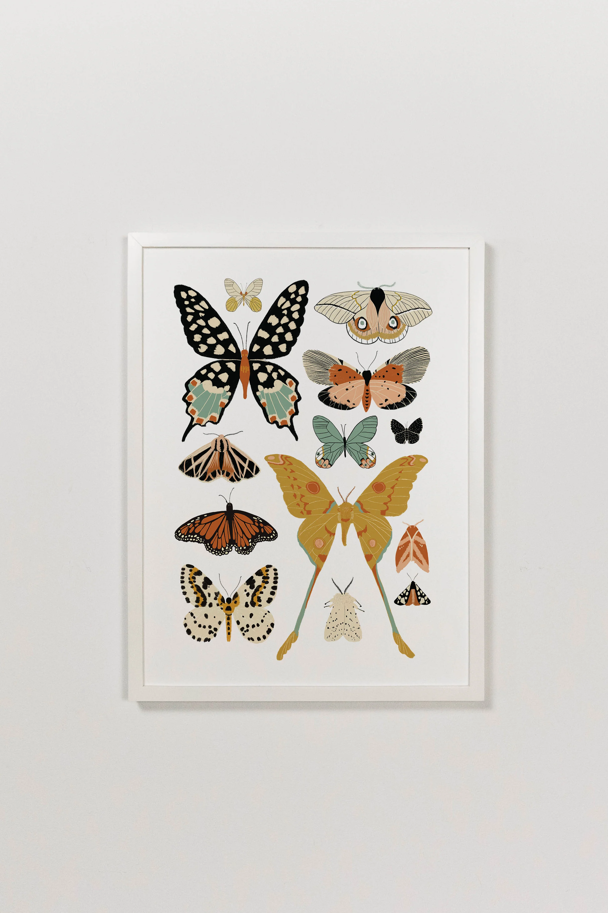 Butterfly Collector Art - Image 5