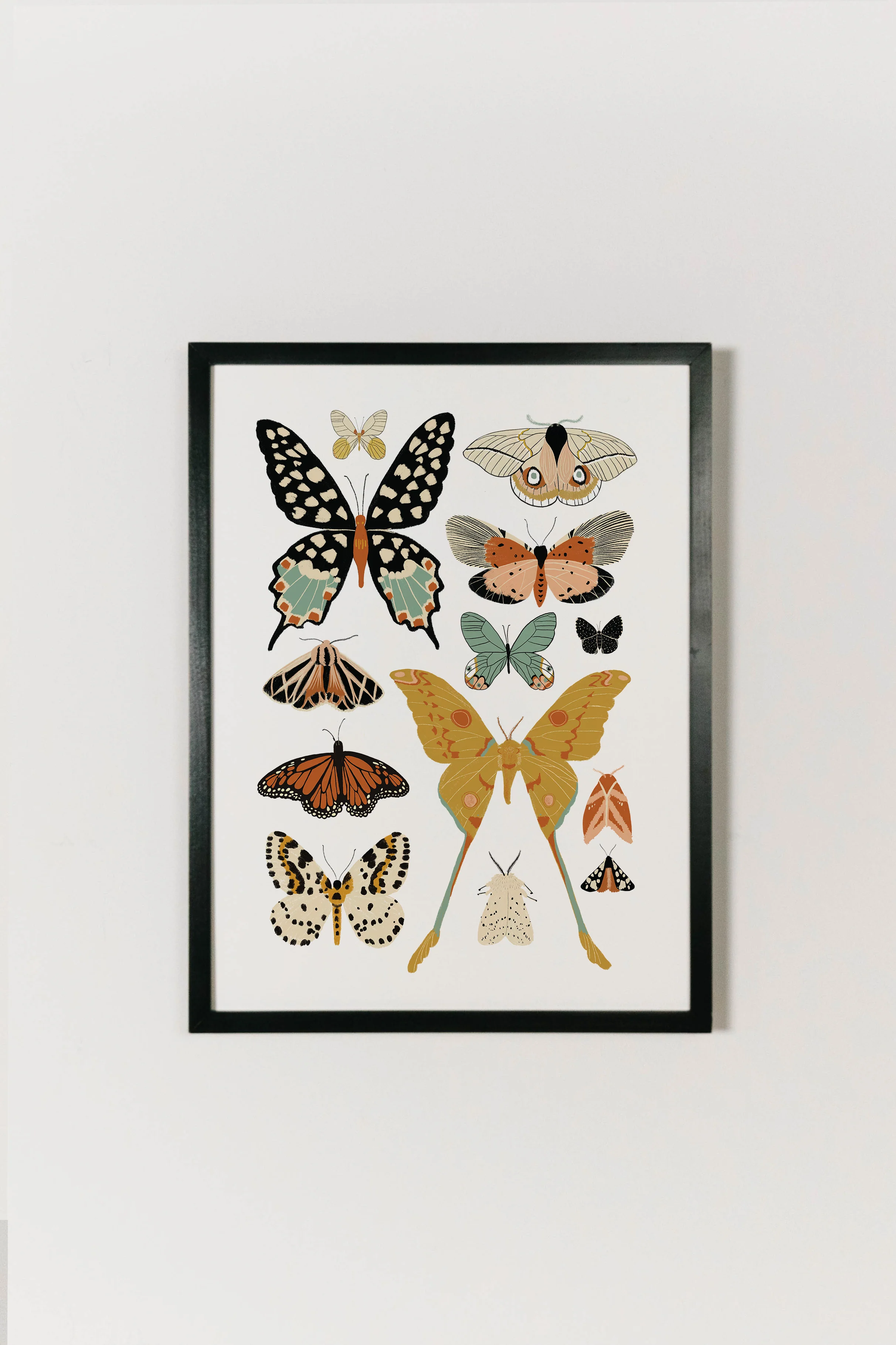 Butterfly Collector Art - Image 6