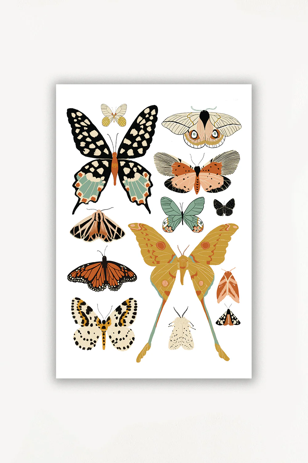 Butterfly Collector Art - Image 7