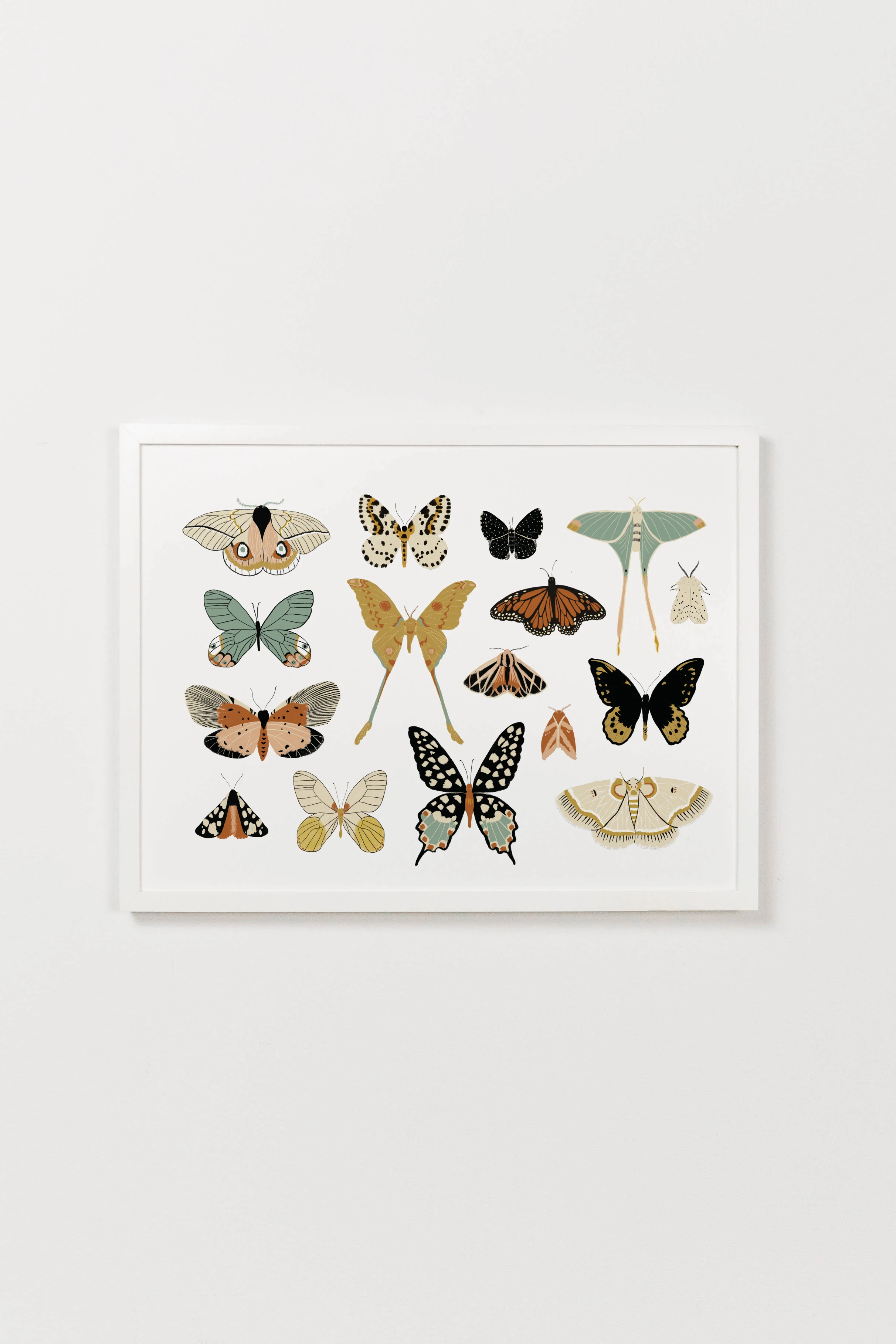 Butterfly Collector Art - Image 8