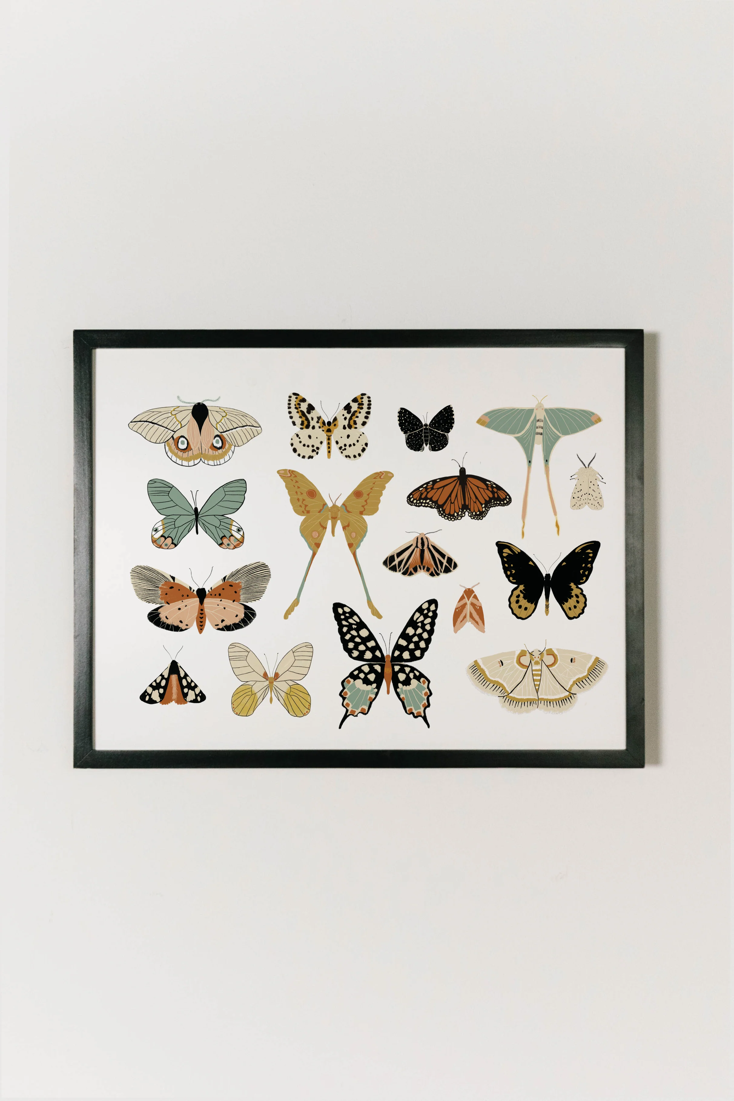 Butterfly Collector Art - Image 9