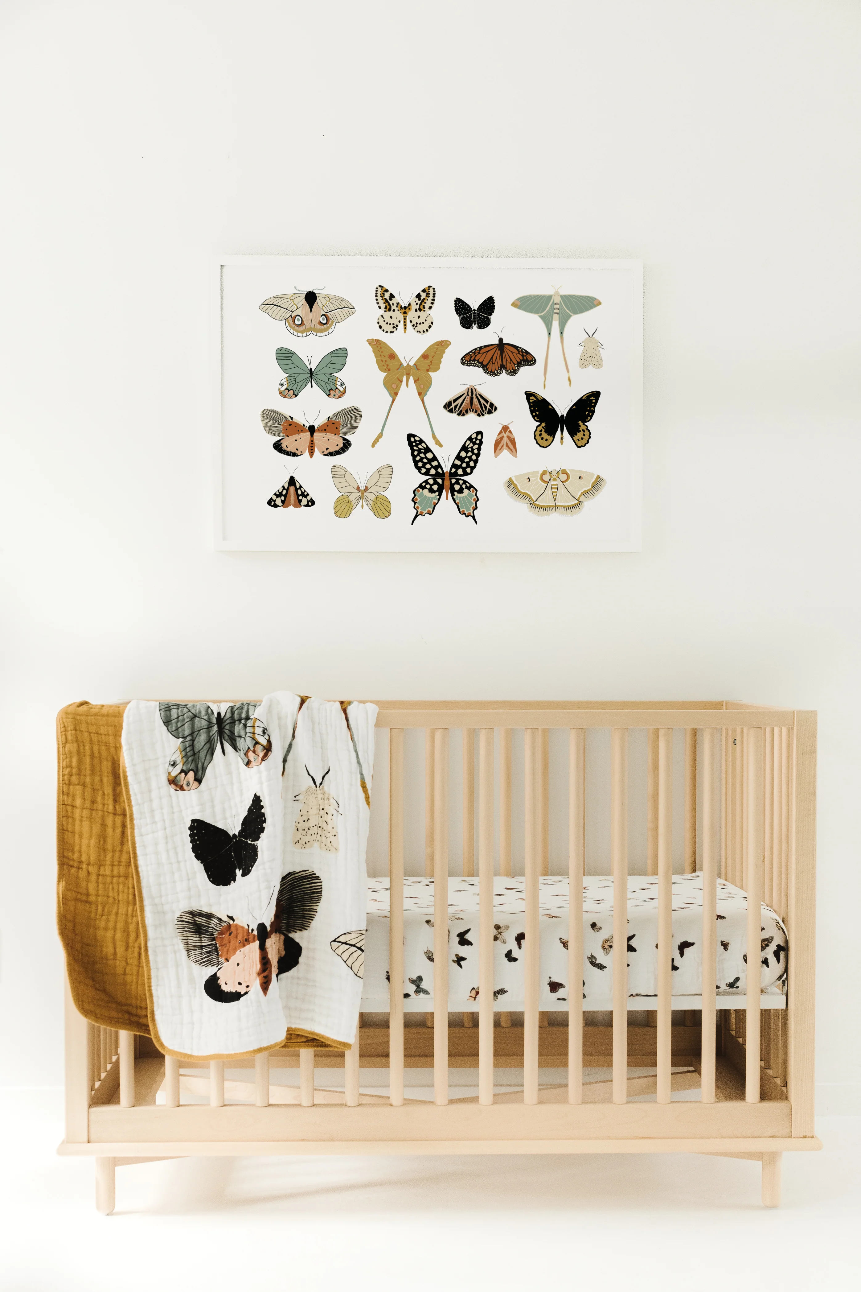 Butterfly Collector Quilt - Image 4