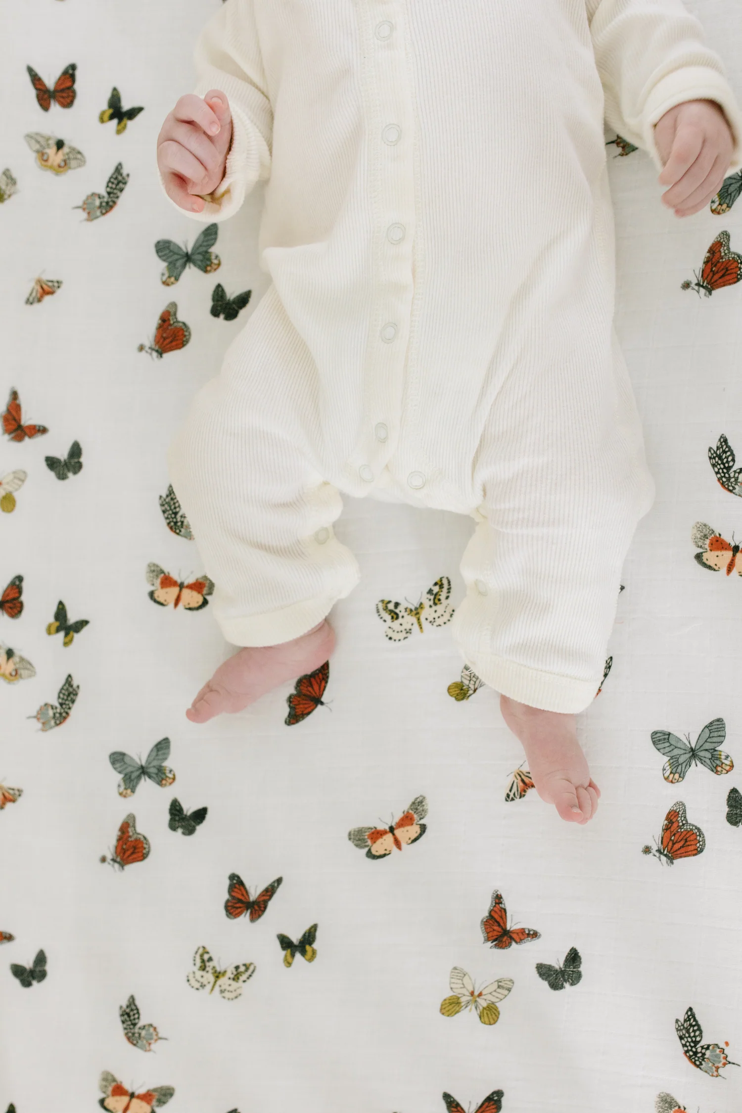 Butterfly Migration Crib Sheet - Image 4