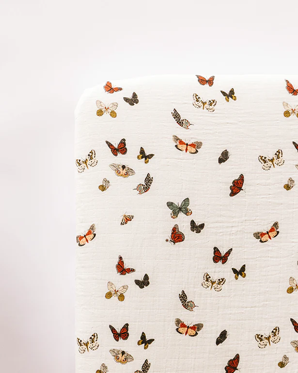 Butterfly Mini Bundle - Image 3
