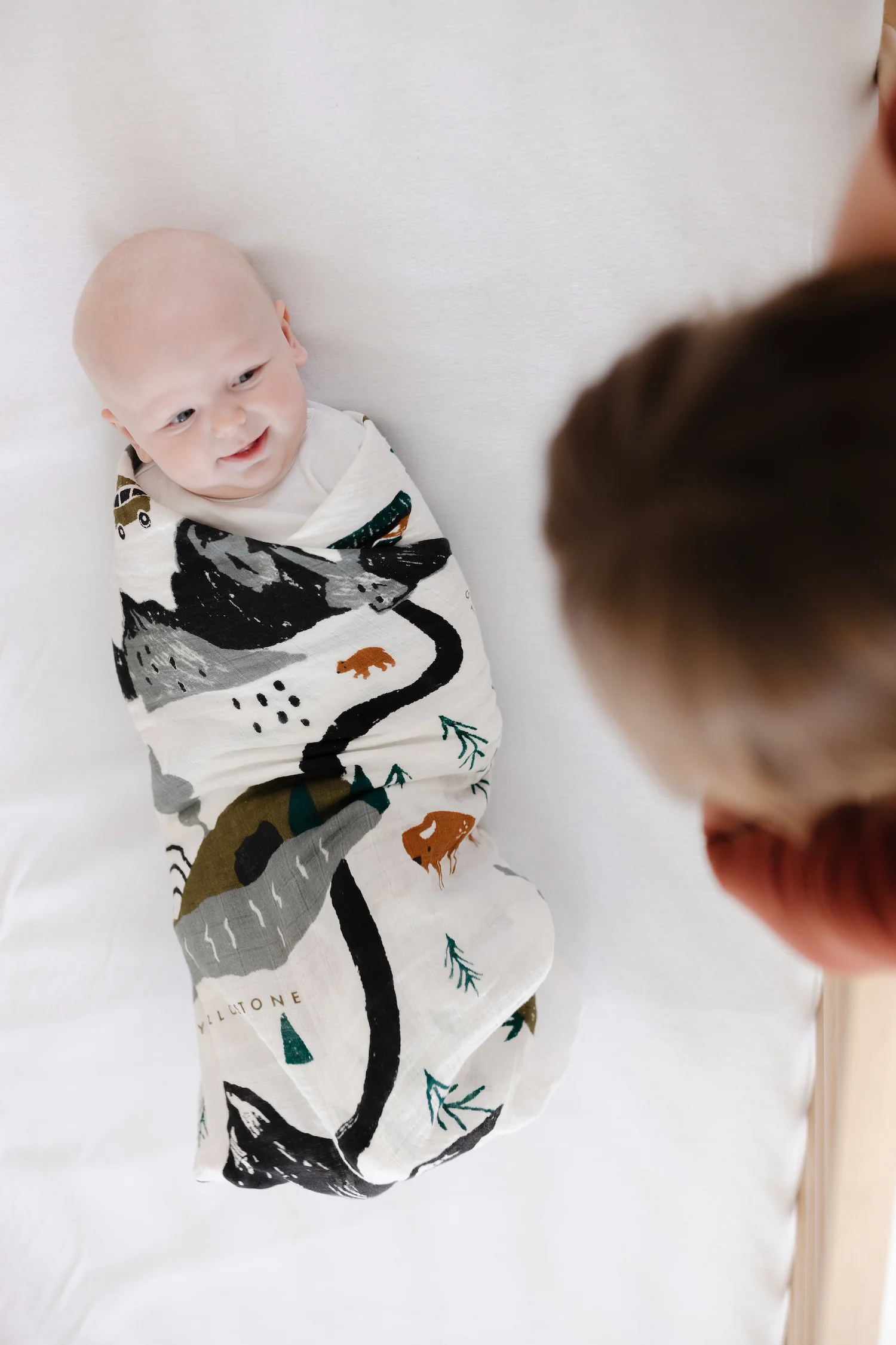 National Parks Swaddle - Image 3